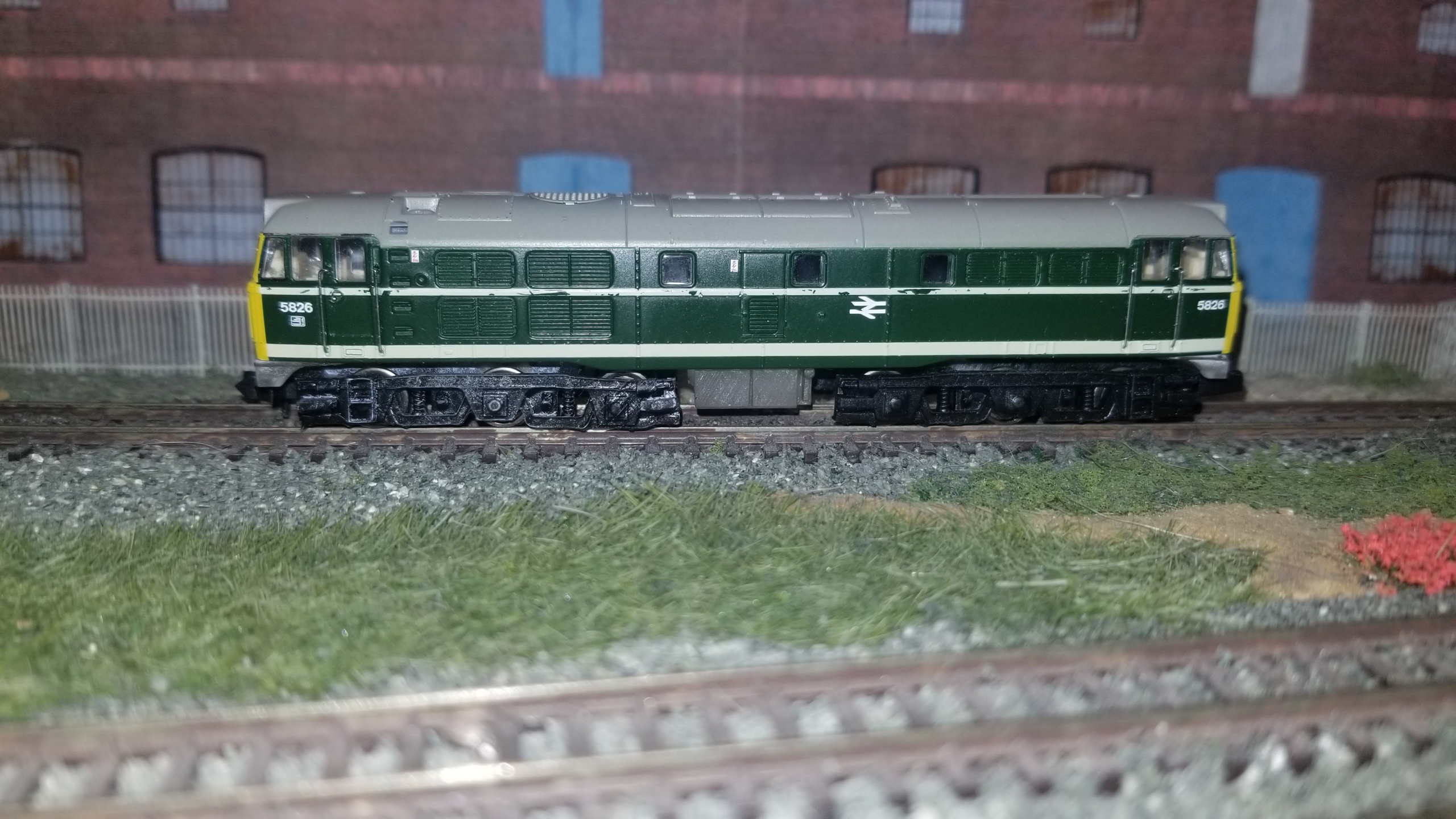 D5826 - in BR two tone green livery featuring the BHM Class 31 Chassis. © Bees Hill Models, all rights reserved.